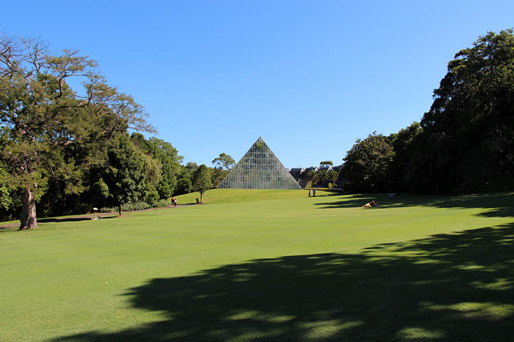 sydney botanikus kert