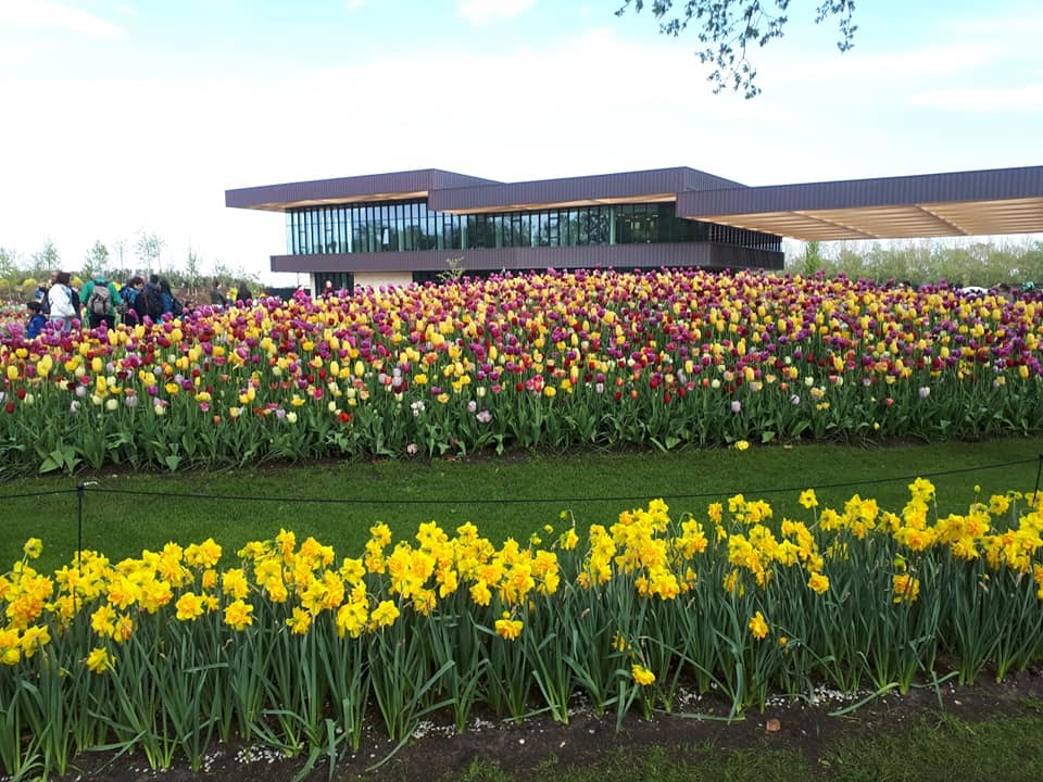 keukenhof 2