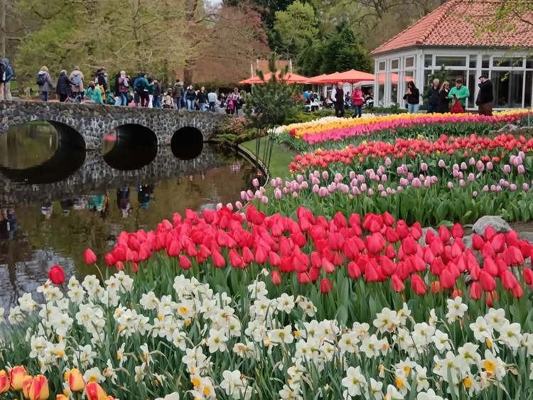 keukenhof 4