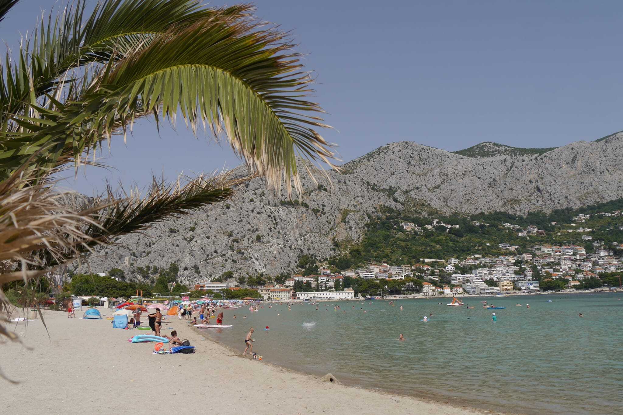 Omis