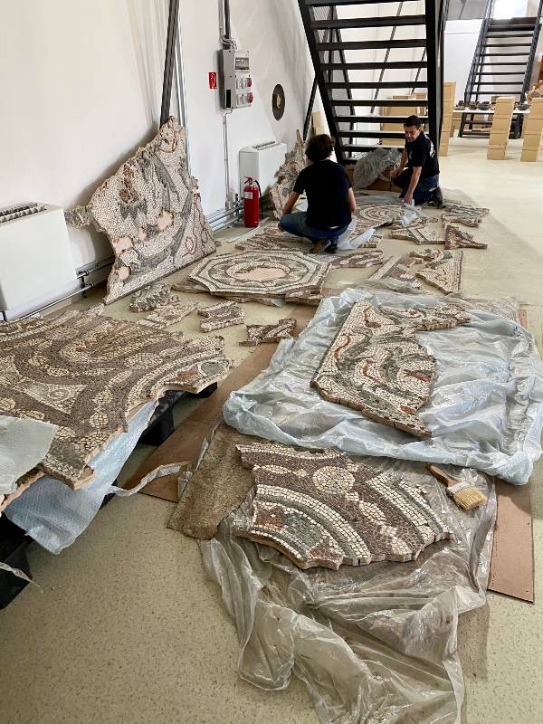 salisbury mozaik 01x