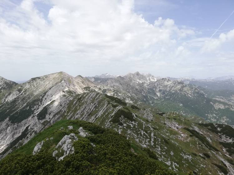 sija