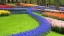 Megnyílt a Keukenhof virágkiállítás: ezért dobban meg tavasszal egész Hollandia szíve